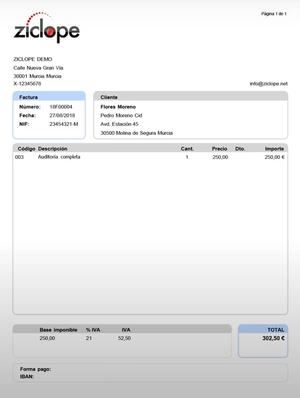 Example of invoice created with Zfactura
